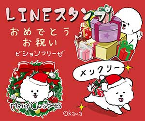 おめでとうお祝いビションフリーゼLINEスタンプ